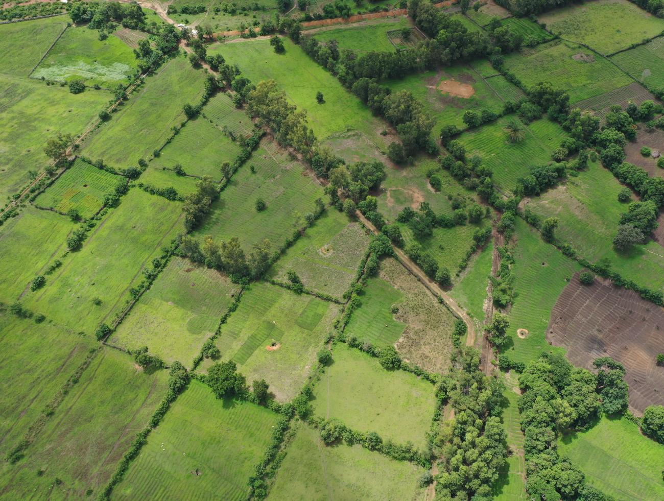 Aménagement agricole de 334 hectares à Kamsar, Boké.